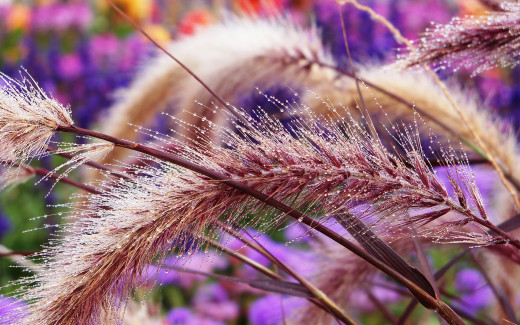 579536 (a): :2560x1600